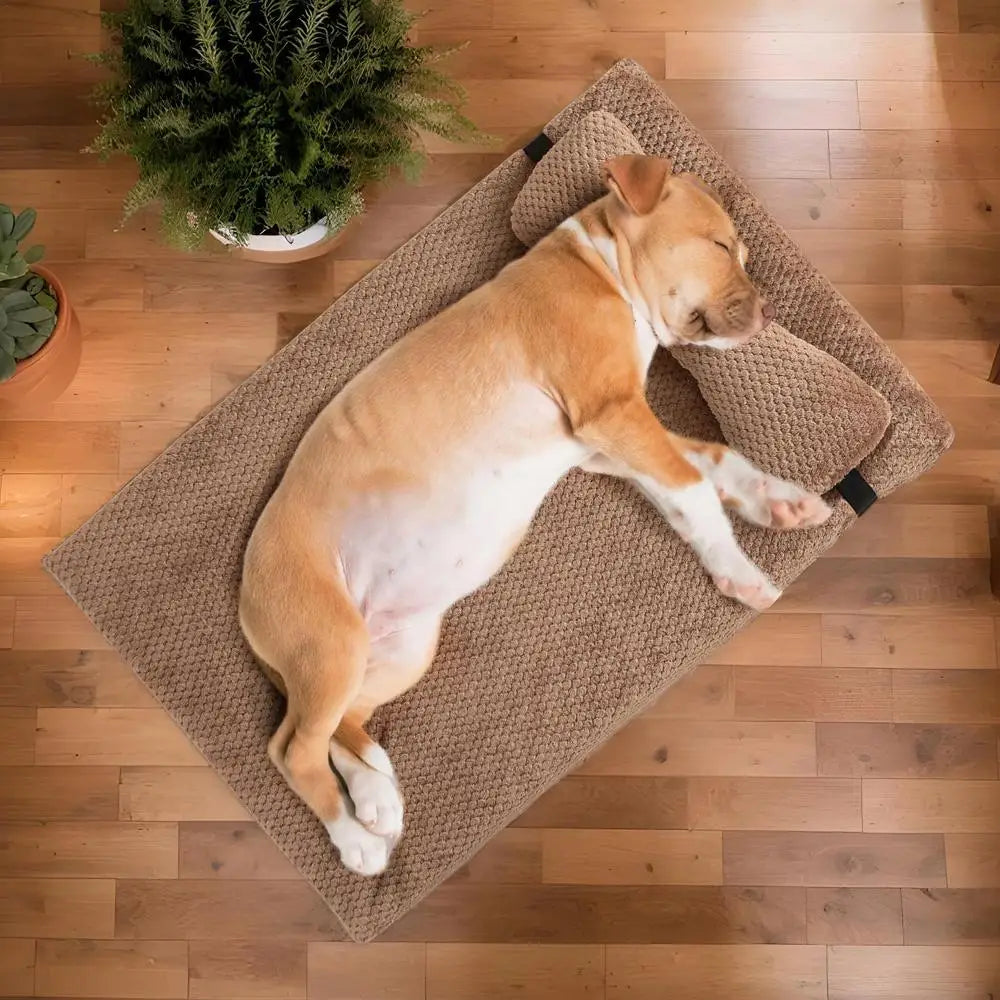 Orthopedic Sofa Dog Bed