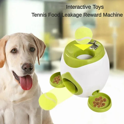 Interactive Dog Tennis Machine