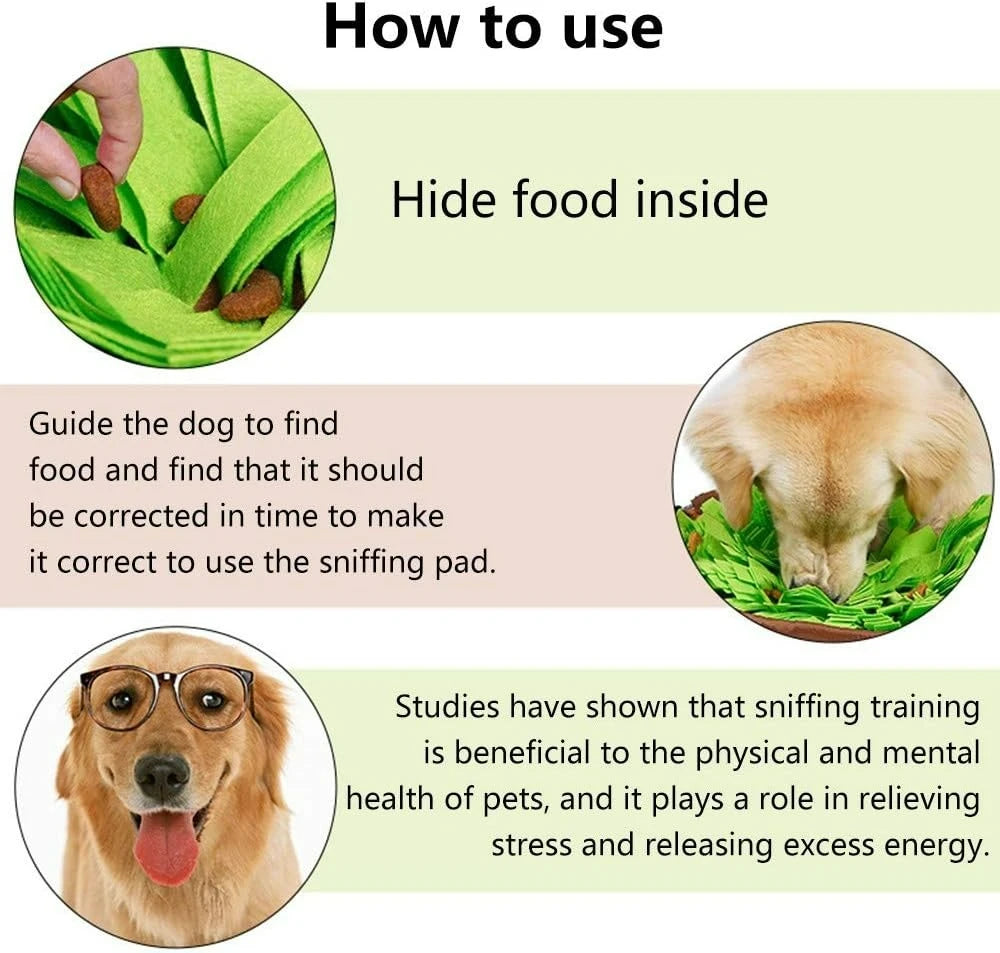 Dog Slow Feeding Mat