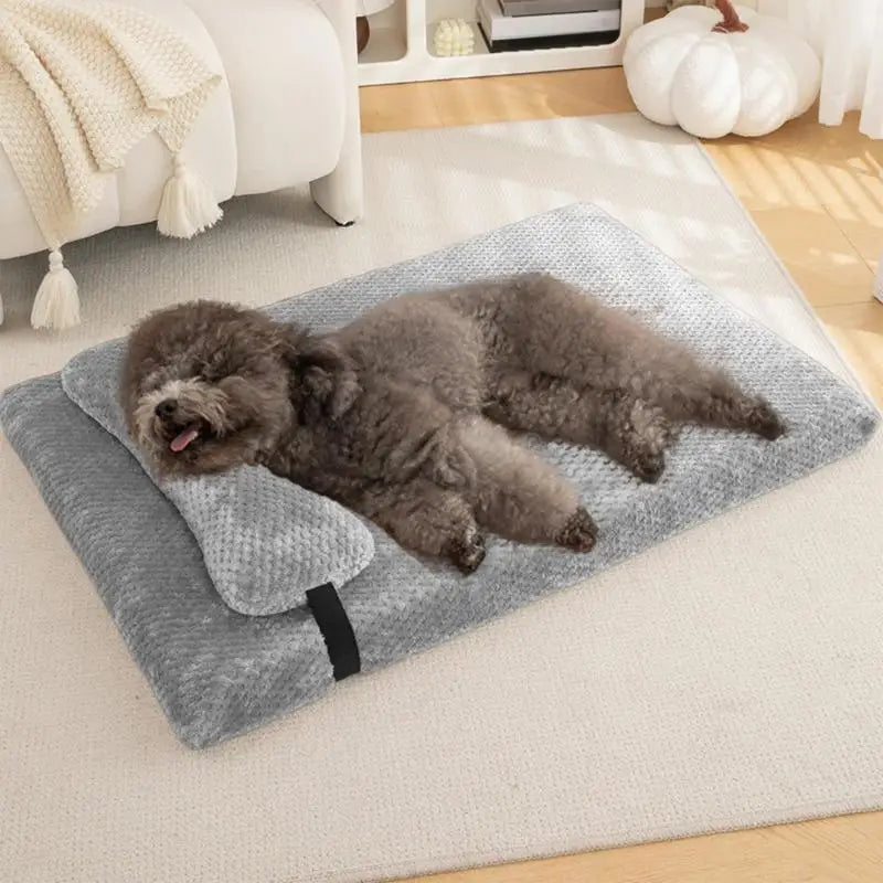 Orthopedic Sofa Dog Bed