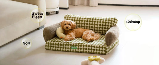 Orthopedic Egg-Foam Dog Bed