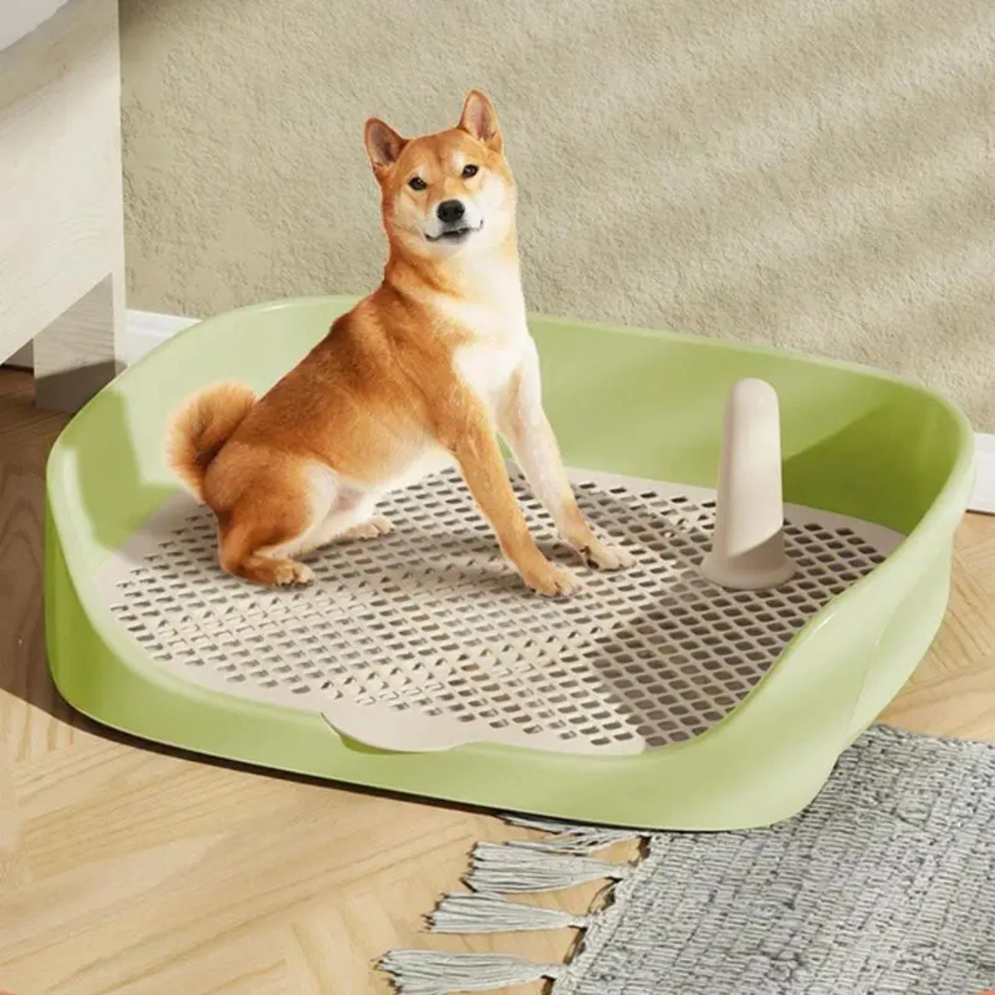 Indoor Dog Potty Tray