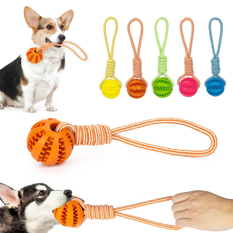 Interactive Dog Rubber Leaking Toys