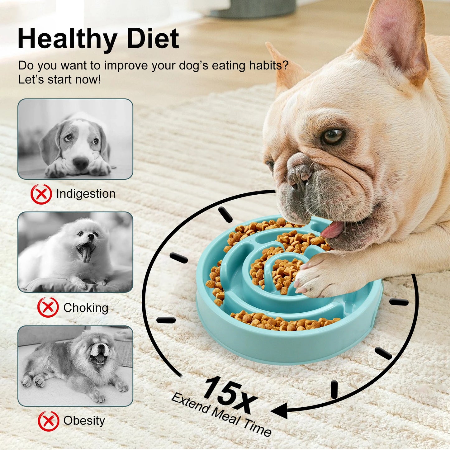 Slow Feeder Bowl for Dogs