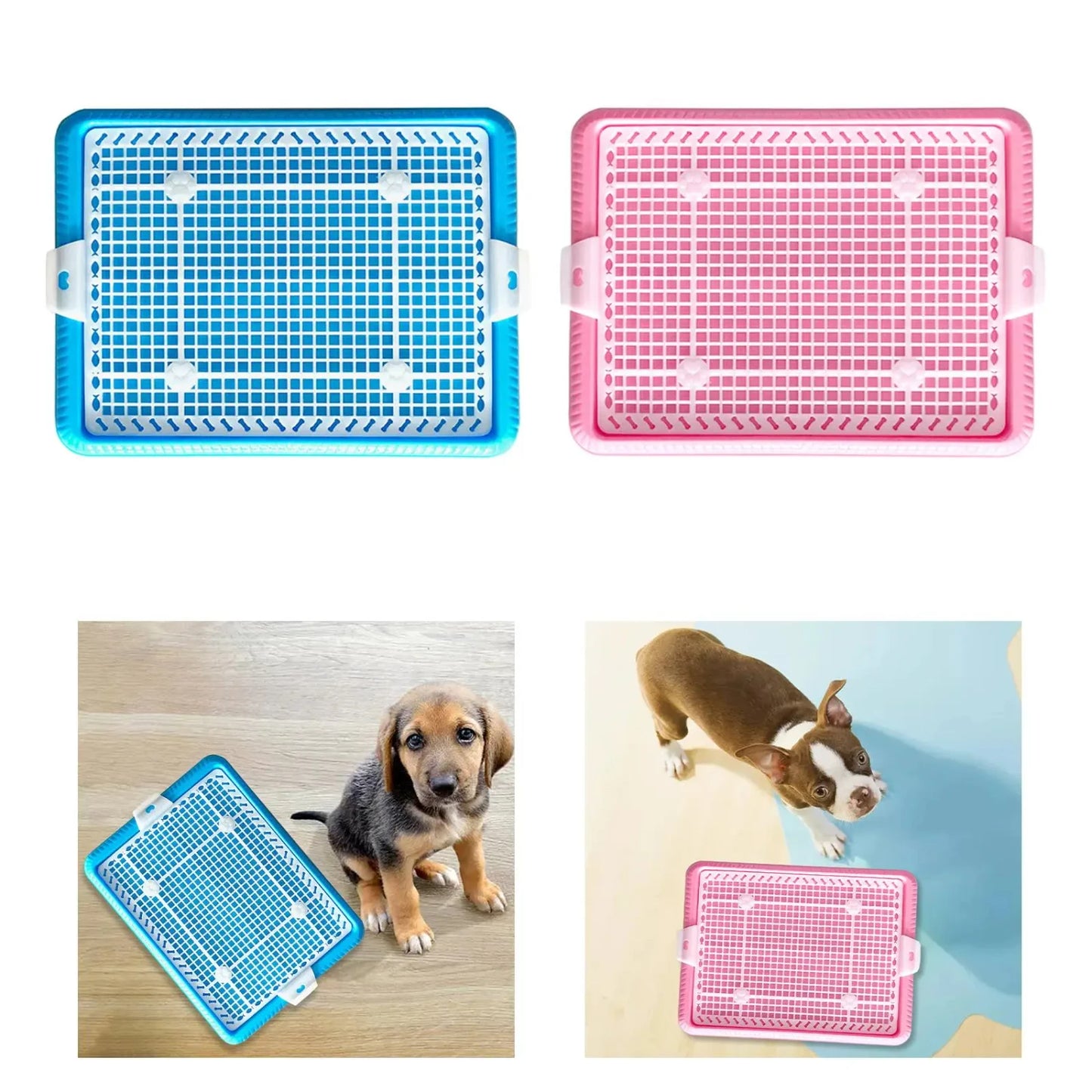 Small Dog Potty Training Tray