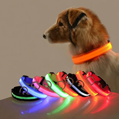 Nylon LED Night Safety Flashing Glow Dog Leash