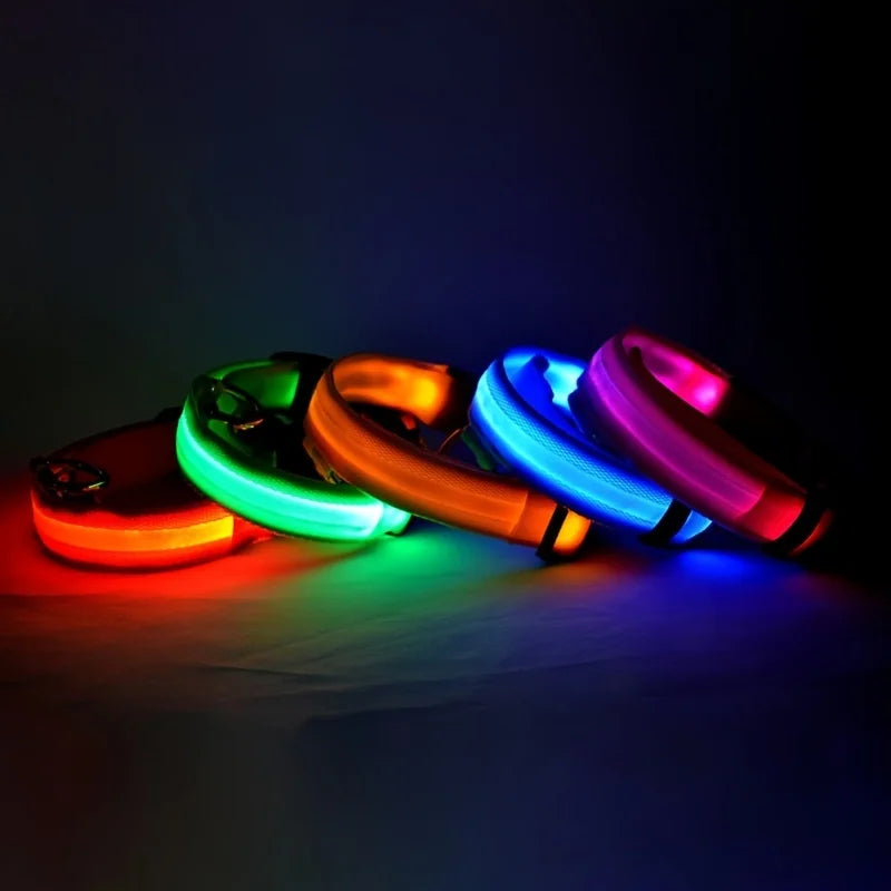 Nylon LED Night Safety Flashing Glow Dog Leash