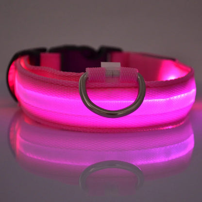 Nylon LED Night Safety Flashing Glow Dog Leash