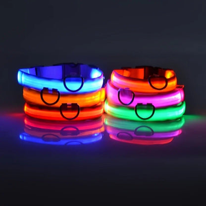 Nylon LED Night Safety Flashing Glow Dog Leash