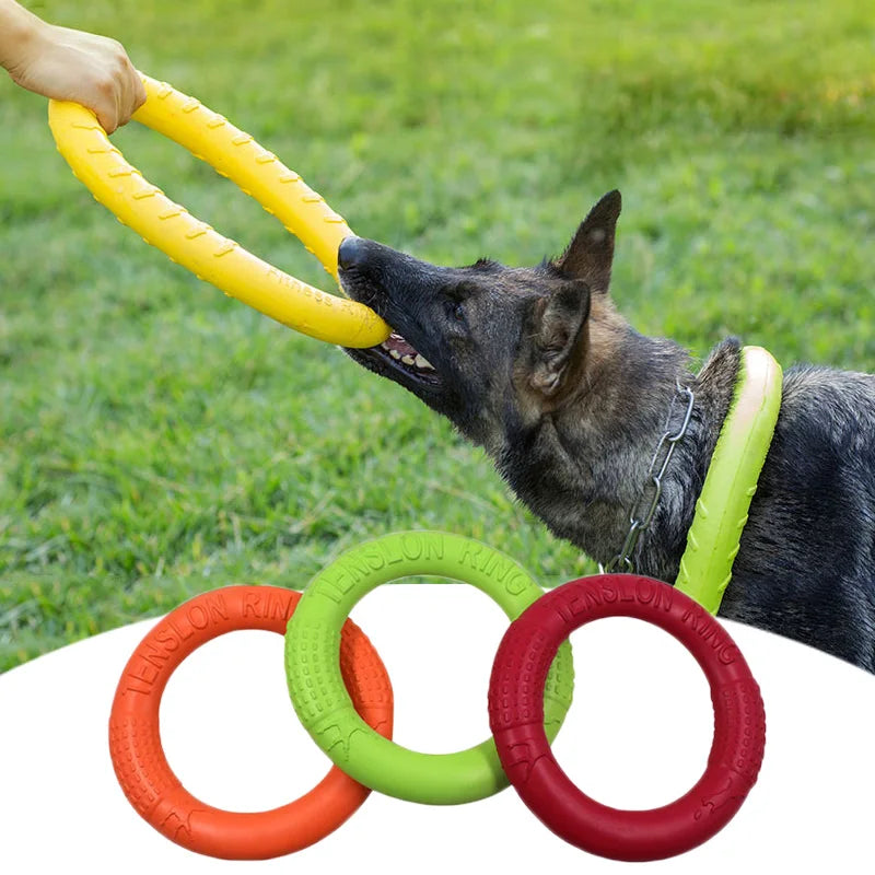 Dog Flying Disk Anti-Bite Chewing Toys