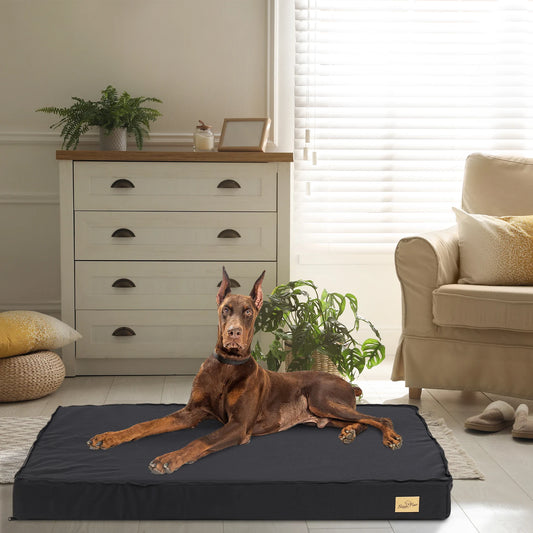 Waterproof Dog Bed For Small & Medium Dogs