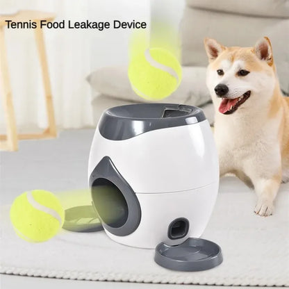 Interactive Dog Tennis Machine