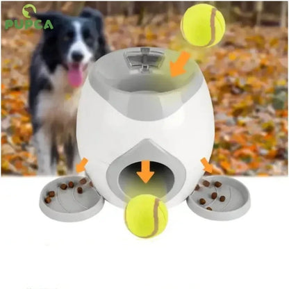 Interactive Dog Tennis Machine