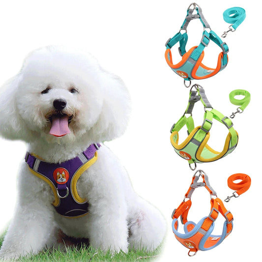 Reflective Dog Harness & Leash Set for Small Dogs